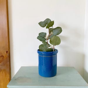 Peut inclure: Un pot en céramique bleu cobalt avec une plante aux feuilles vertes rondes et aux petites fleurs blanches. Le pot est posé sur une table d'appoint en bois peint en bleu-vert clair. Le fond est un mur blanc.