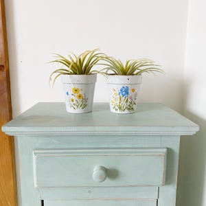 Peut inclure: Deux pots de fleurs en céramique blanche avec un motif floral. Les pots sont remplis de plantes vertes et sont posés sur une table en bois bleu clair.