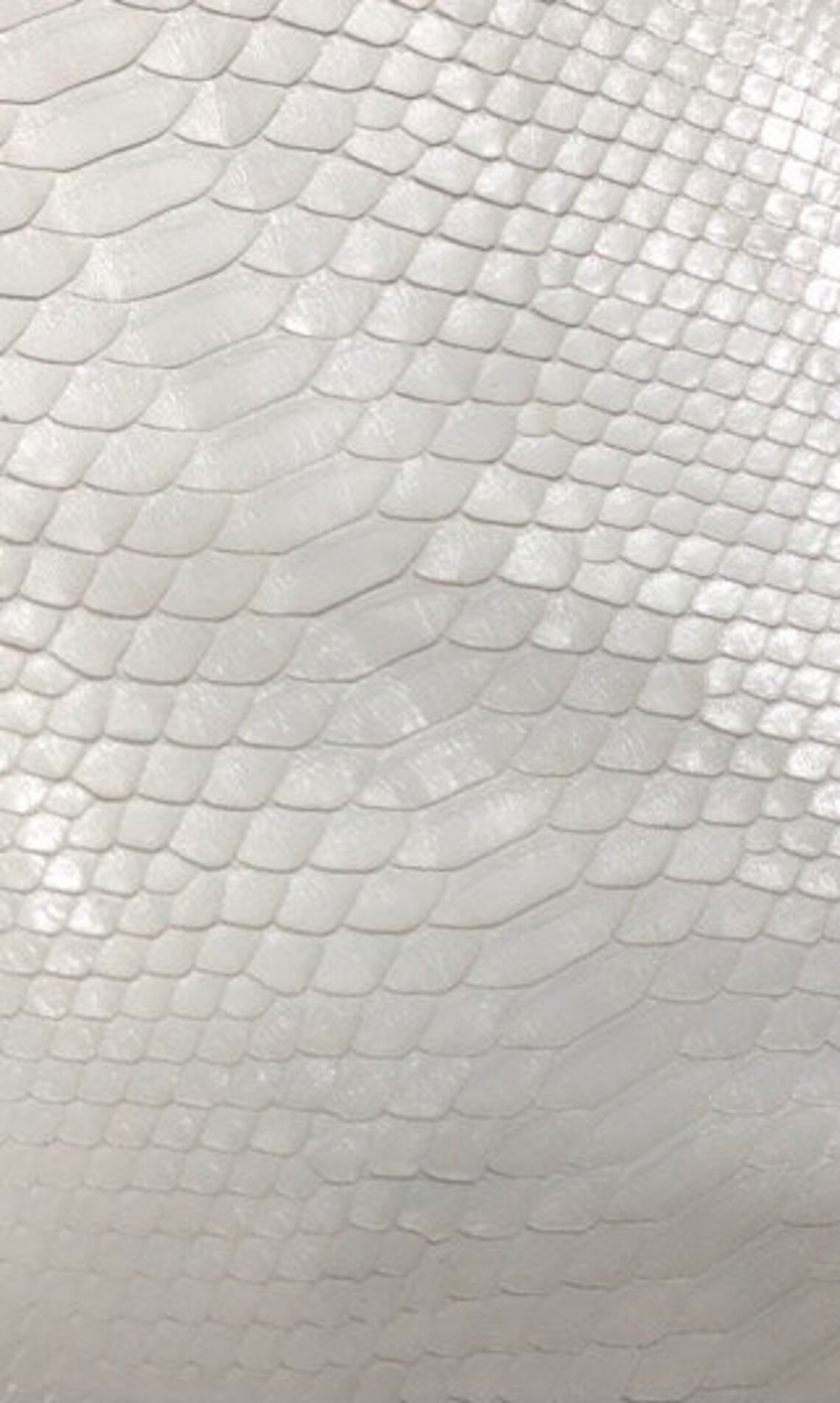 Python Leather Jacket Men Custom Biker Size M 4XL Premium Quality - Etsy