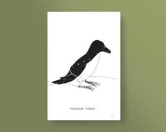 Bird poster, silkscreen art print, drawing of Penguin Torda, Breton bird, format 20x30 cm