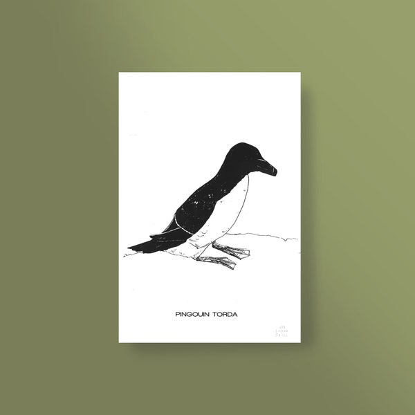 Affiche oiseau, impression d'art sérigraphie, dessin de Pingouin Torda, oiseau breton, format 20x30 cm