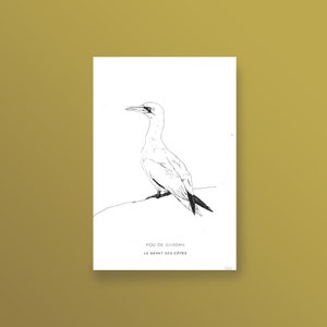Bird poster, silkscreen art print, drawing of a gannet, Breton bird, 20x30 cm format