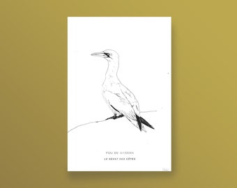 Affiche oiseau, impression d'art sérigraphie, dessin de fou de bassan, oiseau breton, format 20x30 cm