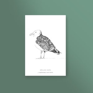 Bird poster, silkscreen art print, seagull drawing, Breton bird, size 20x30 cm