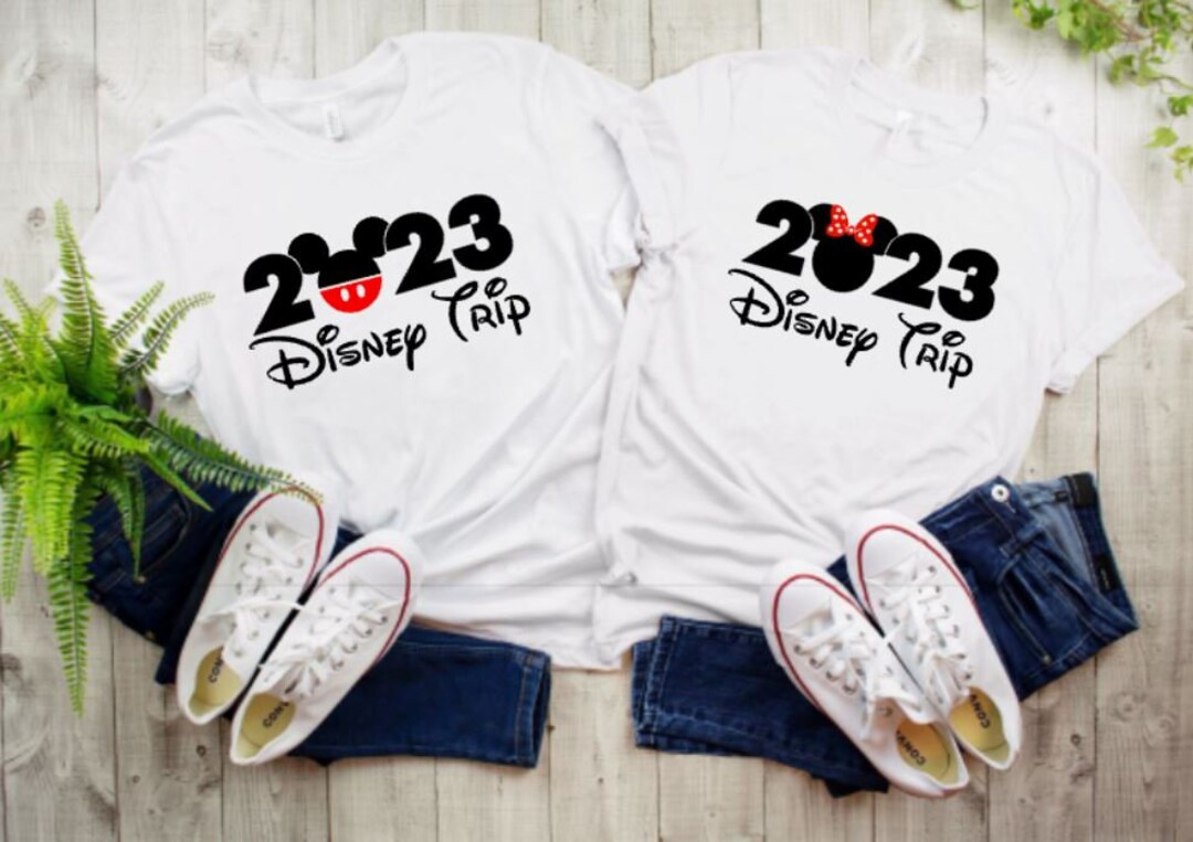 Disney Iron on Transfer for Shirts, Disney Family Shirts, Disney World  Transfers, Disney Castle Iron on Transfers, Disney Shirt Decals -   Norway