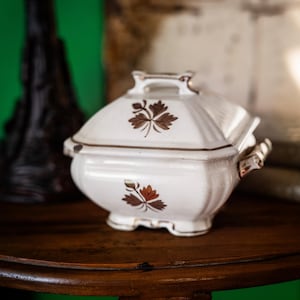 May include: A white ceramic soup tureen with a lid, featuring brown leaf designs and gold trim. The tureen has a handle on the lid and small handles on the sides. It sits on a dark wooden table, with a green background.
