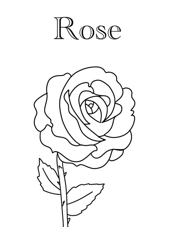 12+ Tulip Coloring Pages