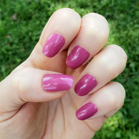 Buy DeBelle Gel Nail Polish Majestique Mauve (Mauve), 8 ml - Enriched with  natural Seaweed Extract, cruelty Free, Toxic Free Online at Low Prices in  India - Amazon.in