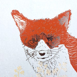 Fox - Greetings Card