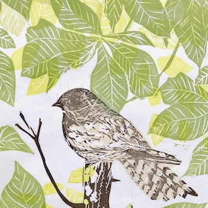 Nightjar - Lino Cut