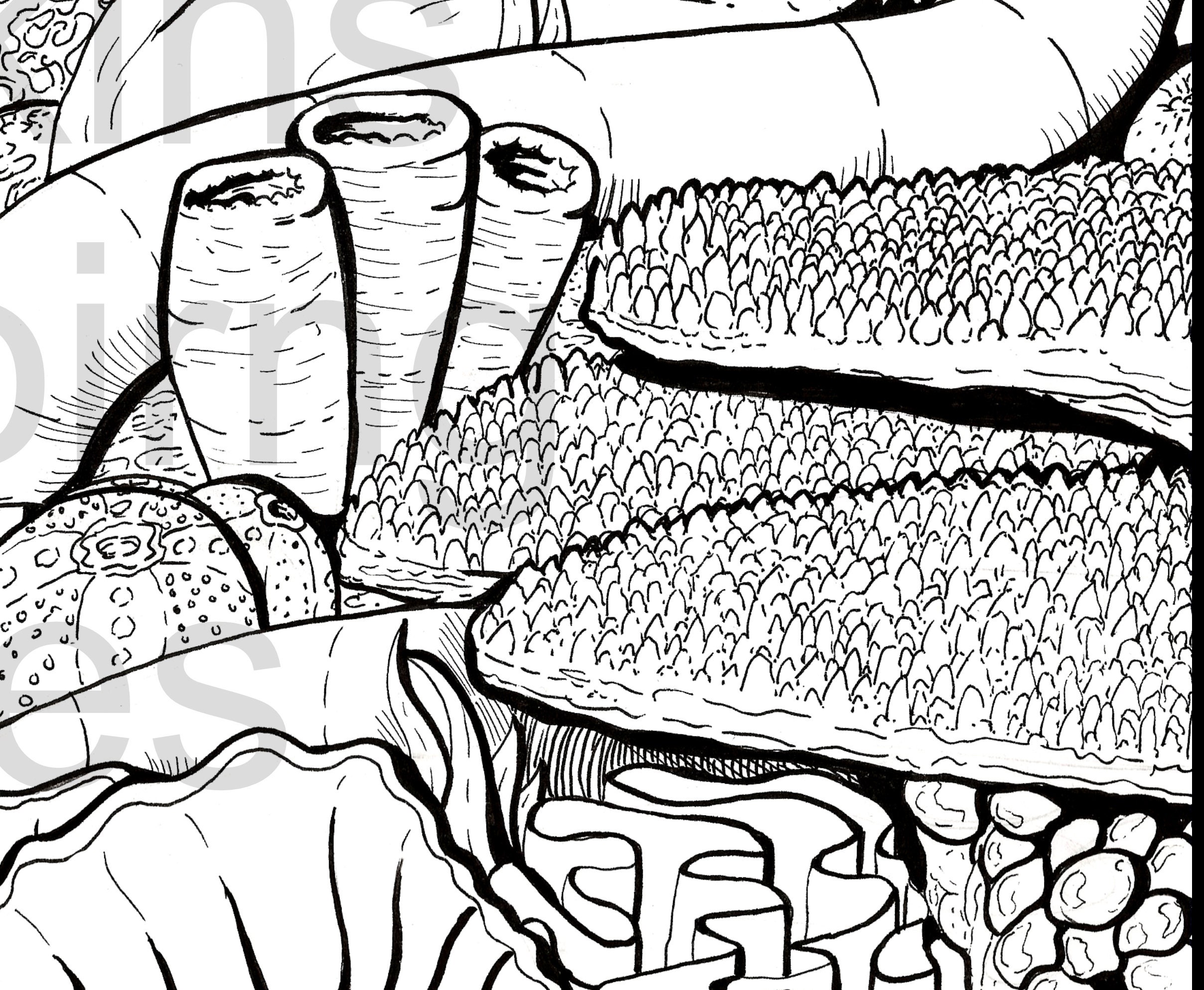 Sea Snake Coral Reef Colouring Page Relaxing Adult Colouring | Etsy