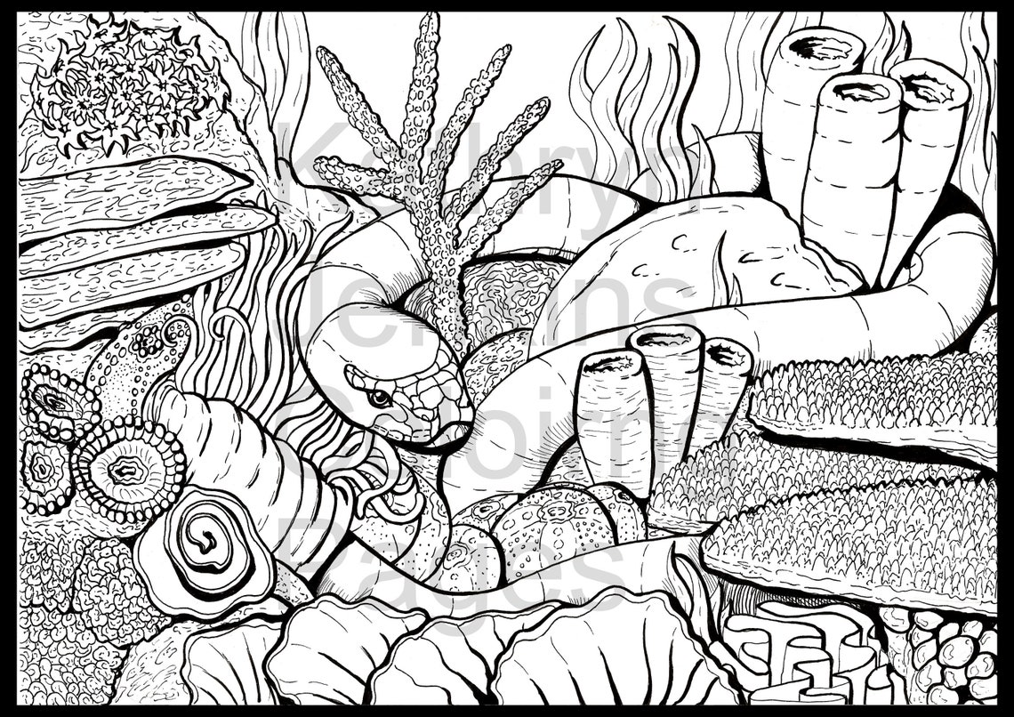 Sea Snake Coral Reef Colouring Page Relaxing Adult Colouring | Etsy