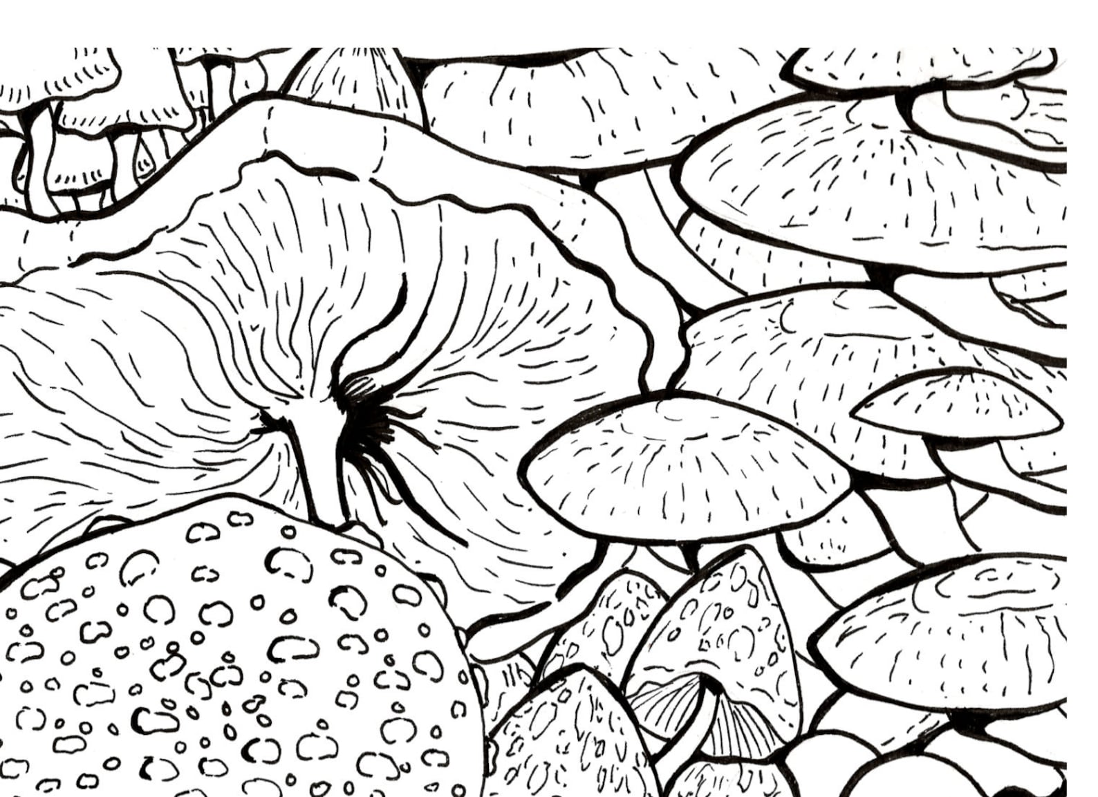 Mushroom Adult Colouring Page for Digital Download - Etsy Ireland