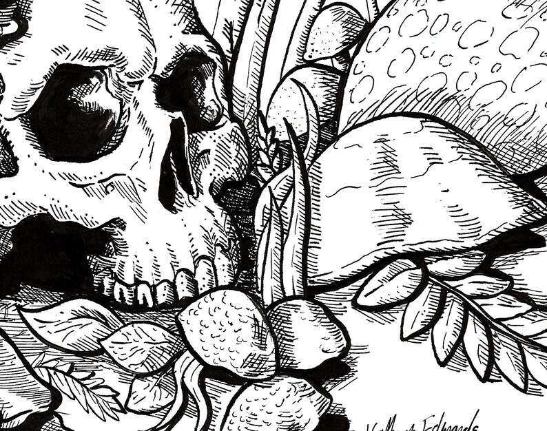 Gothic Skull Colouring Page Hiding Among Mushrooms Adult - Etsy