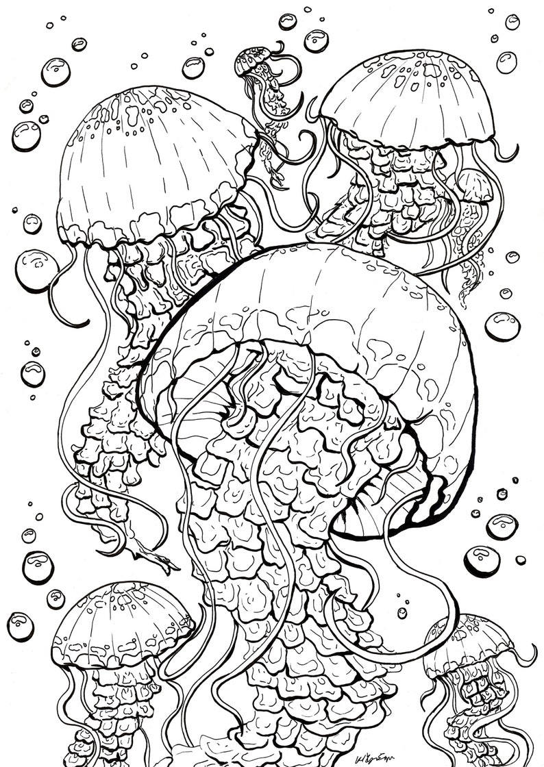 Jellyfish Coloring Page for Adults Jellyfish Bubble Forest | Etsy