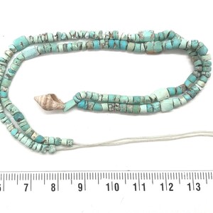 K&ouml;nnte beinhalten: Eine Kette aus t&uuml;rkisfarbenen Perlen mit einem Muschel-Anh&auml;nger. Die Perlen sind hellblau und haben einen Durchmesser von etwa 6 mm. Die Kette ist etwa 35 cm lang.