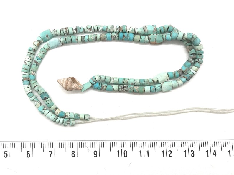 K&ouml;nnte beinhalten: Eine Kette aus t&uuml;rkisfarbenen Perlen mit einem Muschel-Anh&auml;nger. Die Perlen sind hellblau und haben einen Durchmesser von etwa 6 mm. Die Kette ist etwa 35 cm lang.