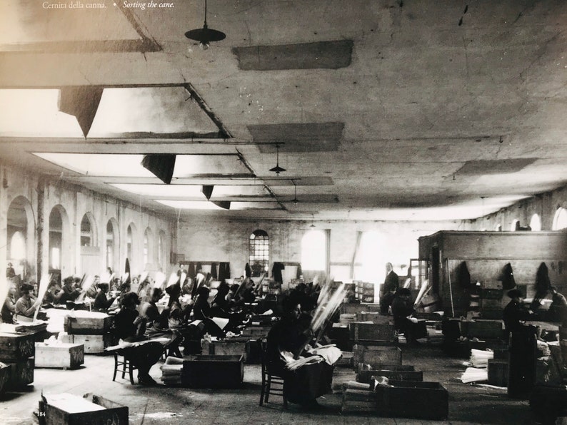 May include: Black and white photo of a large room with many people working at desks. The room has a high ceiling with skylights and is filled with wooden crates and stacks of paper. The text "Cerniuz della canna. Sorting the cane." is visible in the top left corner of the image.
