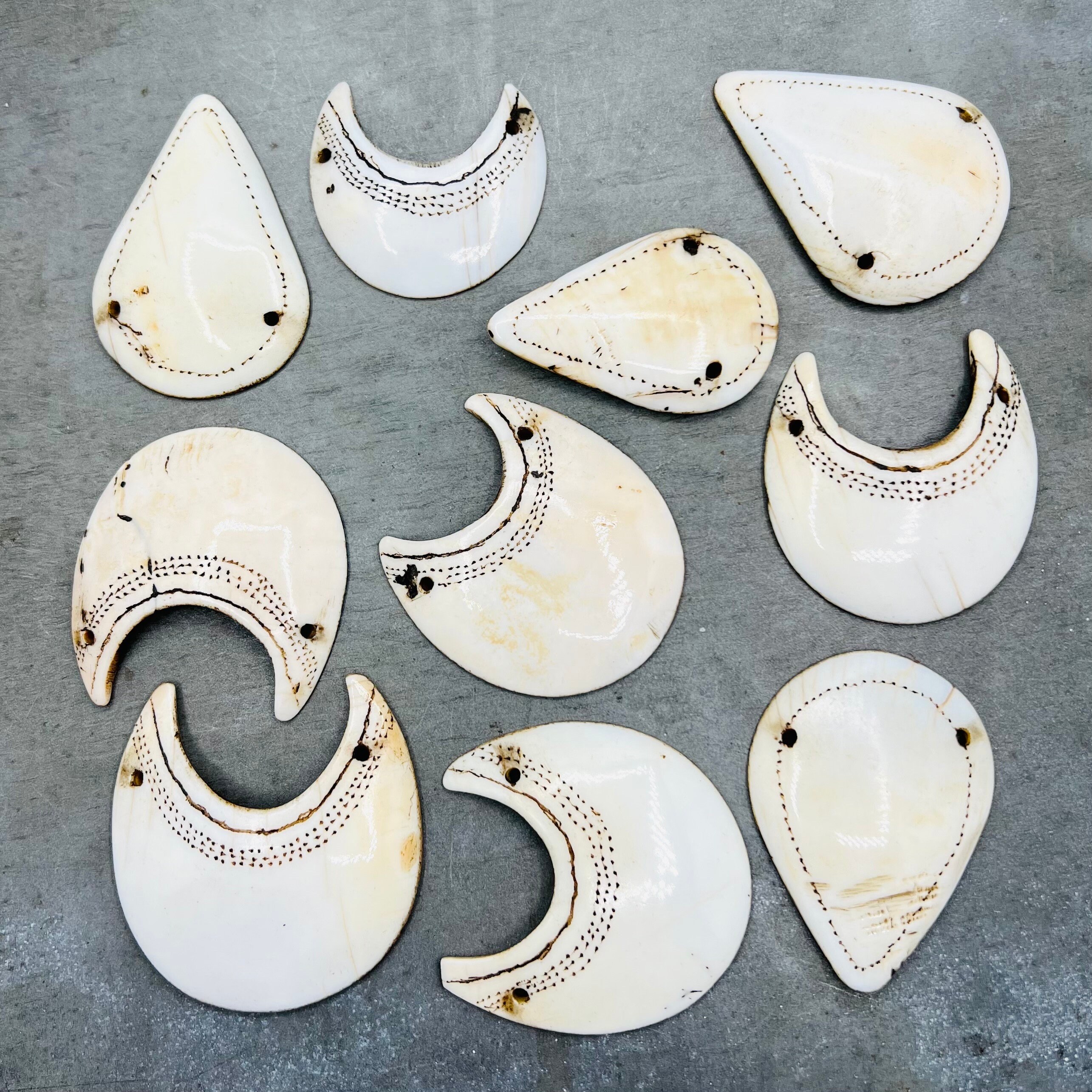 Naga Shell Pendant, Naga Tribe Shank Shell, Conch Shell, Seashell ...