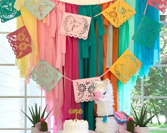 Fringe Backdrop, Fiesta Backdrop, Birthday Party Backdrop, Fiesta Theme, Tablecloth Fringe Backdrop, Fiesta Banner, Streamer backdrop