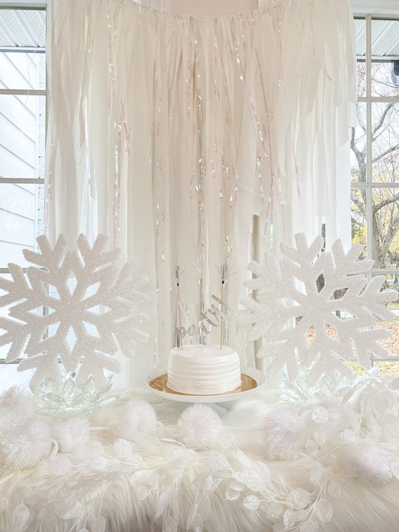 Fringe Backdrop, Winter ONEderland Party, Snowflake Theme, Winter Cake Smash, Frozen, Frozen theme, White Backdrop, Wedding Backdrop Il_570xn