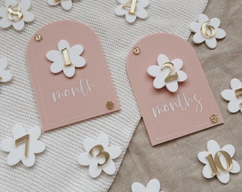 Daisy Baby Milestone Cards: Interchangeable Acrylic Photo Prop
