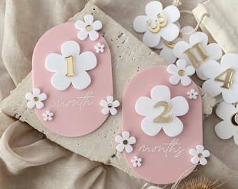 Daisy milestone plaques | Baby interchangeable milestone cards  | Acrylic Milestone cards