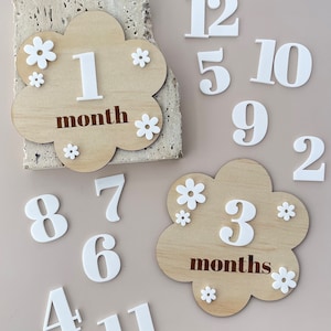 Daisy milestone plaques | Baby interchangeable milestone cards  | timber Milestone cards