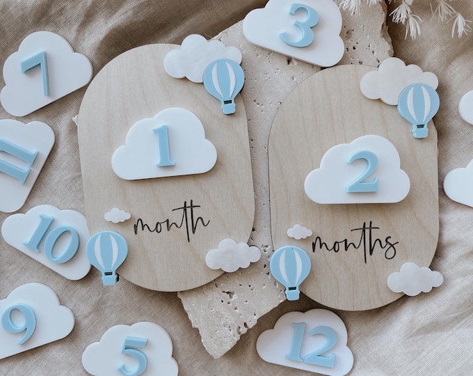 Baby Milestone Plaque: Interchangeable Acrylic Month Cards