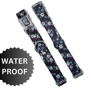 Waterproof dog collar, daisy dog collar, Floral dog collar, Small dog collar, Large dog collar, Dachshund collar, Cute dog collar