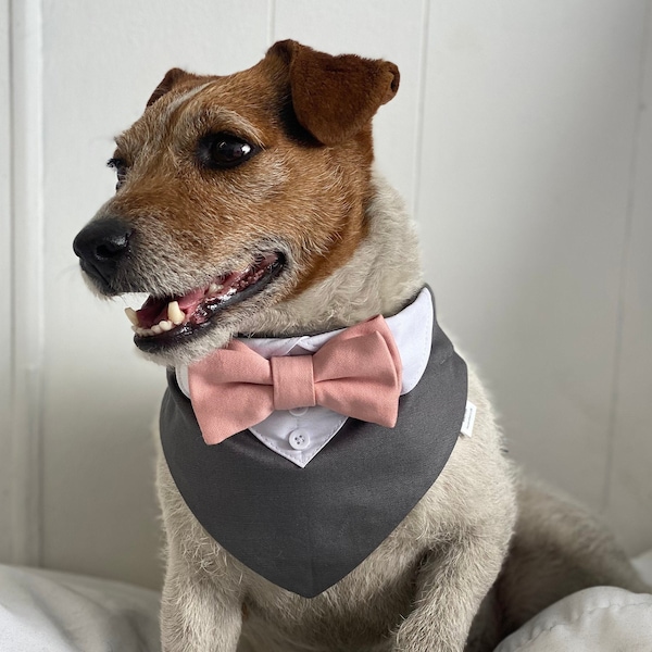 Smoking de chien de mariage gris avec noeud papillon Blush - Tenue de mariage Grey Dog avec noeud papillon Blush - Bandana de mariage pour chien sur le collier avec noeud papillon