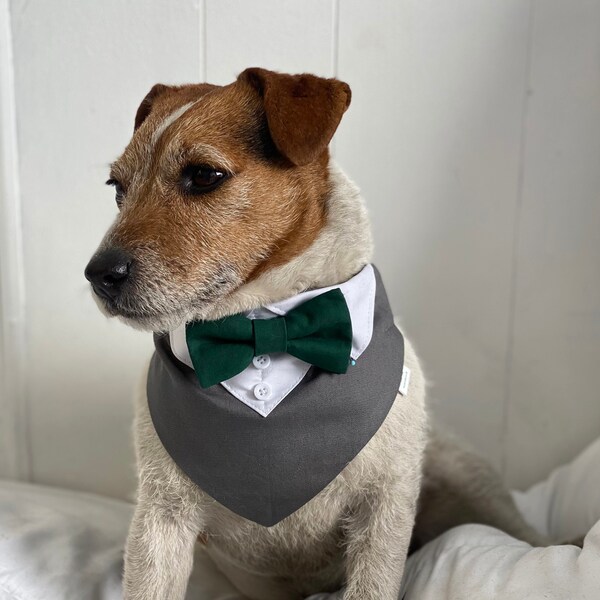 Grey Dog tuxedo with Green bow tie - Grey wedding attire with emerald green bow tie - Over the collar dog wedding bandana with bow tie