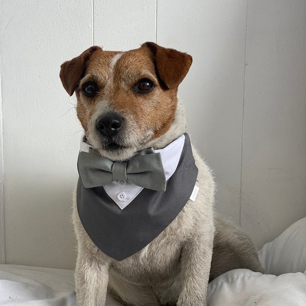 Grey Dog tuxedo with Sage bow tie - Grey wedding attire with sage bow tie - Over the collar dog wedding bandana with bow tie