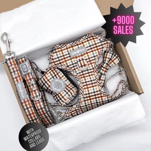 Dog harness set, Dog harness , Bundle of your choice, Tiny dog harness, Puppy harness, Puppy gift box, Harness dog, WATERPROOF MATCHING GEAR