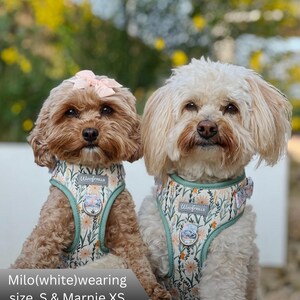 Two small dogs wearing matching floral  harnesses with sage green trim. The harnesses feature a repeating pattern of white daisies and green foliage, a central WoofFrills brand label, and a silver metal D-ring attachment point.