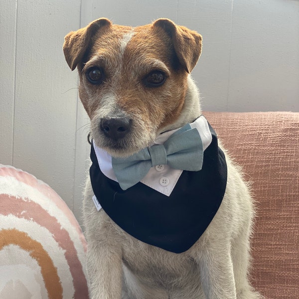 Dog wedding bandana - Navy bluewith Dusty blue bow tie  - Ivory dog wedding tuxedo and dusty blue  bow tie - Over the collar wedding bandana