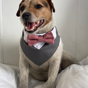 May include: A brown and white dog wearing a gray and white bandana with a pink bow tie. The dog is sitting on a white pillow.
