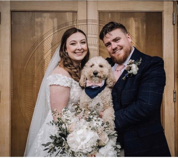 Navy Blue Dog Wedding Tuxedo With Dusty Blue Bow Tie Ivory Dog Wedding Attire and Dusty Blue Bow Tie Over the Collar Wedding Bandana Etsy Canada