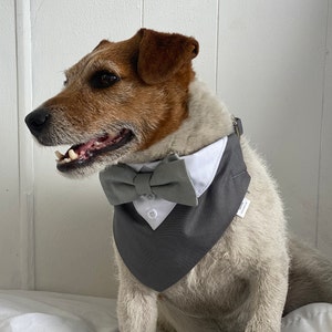 Dog wedding bandana Grey dog wedding tuxedo with sage bow tie Over the collar dog wedding bandana with bow tie image 2