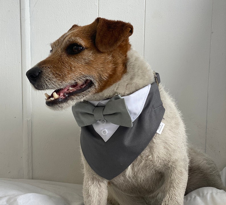 Dog wedding bandana Grey dog wedding tuxedo with sage bow tie Over the collar dog wedding bandana with bow tie image 2