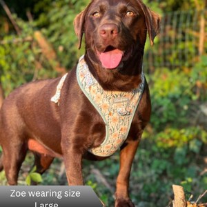 A chocolate Labrador retriever wearing a dog harness with a light green background and a floral pattern featuring orange and white flowers. The harness includes a metal D-ring and a small rectangular tag with the text Woofness.