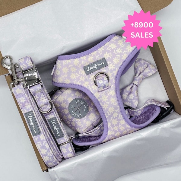 Daisy Lilac dog harness bundle of your choice, Daisy dog harness and lead set, Floral dog harness, Lilac puppy Harness , Lilac dog harness