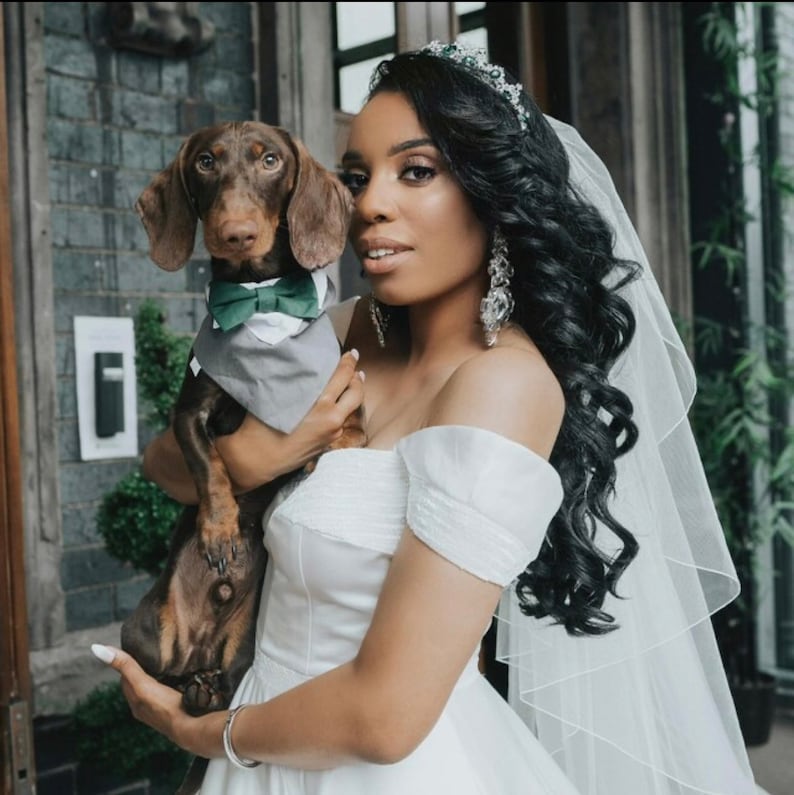 Puede incluir: Una novia con un vestido de novia blanco de hombros descubiertos sostiene un dachshund marr&oacute;n y negro que lleva un chaleco gris y una pajarita verde. La novia lleva un velo y una tiara con diamantes de imitaci&oacute;n.