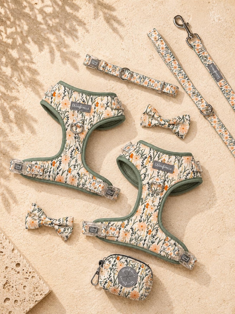 wildflowers dog harness set with matching accessories