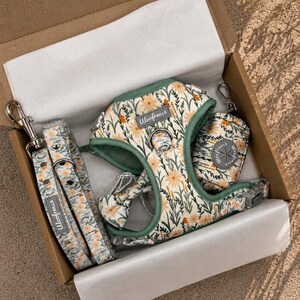 daisy dog harness set gift box