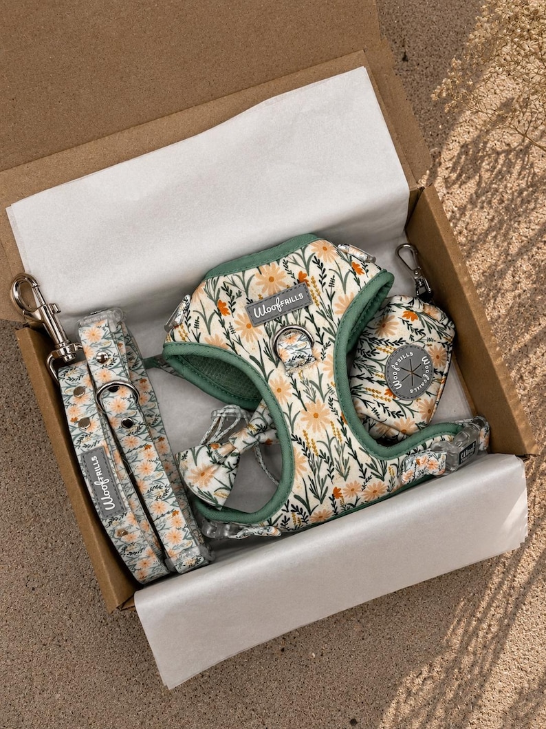 daisy dog harness set gift box