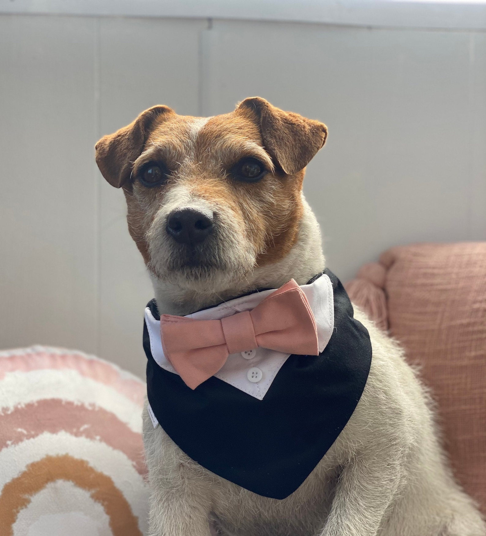 Schwarze Hochzeit Hund Smoking mit erröten rosa Fliege Etsy
