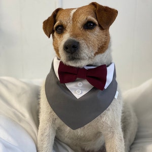 Grauer Hochzeitshunde-Smoking mit weinroter Fliege - Über dem Halsband Hund-Hochzeits-Bandana mit Fliege -Hundehochzeitskleidung
