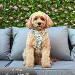 Puede incluir: Un perro de color canela claro con un lazo amarillo en la cabeza lleva un arn&eacute;s con estampado floral y ribete verde. El arn&eacute;s tiene una peque&ntilde;a etiqueta rectangular con el texto Wooflands y un parche circular. El perro est&aacute; sentado.