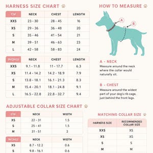 Puede incluir: Una gu&iacute;a de tallas para arneses y collares Woof Frills con tablas de medidas en cent&iacute;metros y pulgadas. Incluye un diagrama de un perro que muestra d&oacute;nde medir el cuello y el pecho, adem&aacute;s de una tabla de tallas de collares a juego.